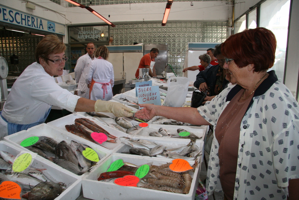 Ribarnica Koper